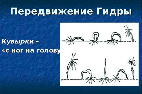 Кракен сайт упал