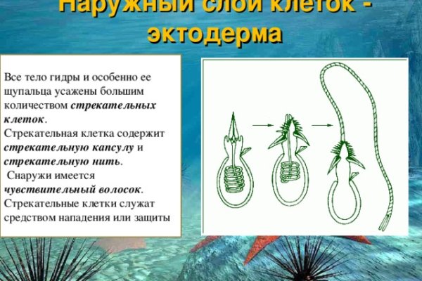 Кракен точка ат