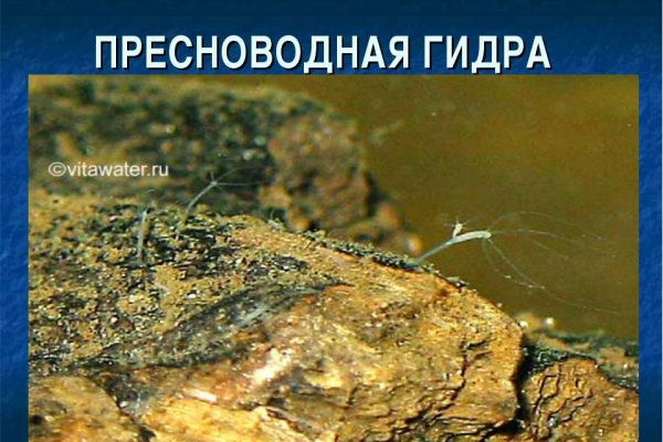 Kraken магазин