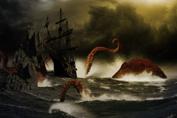 Kraken kraken link24 info
