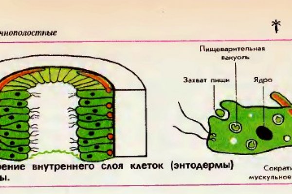 Kraken ссылка зеркало официальный