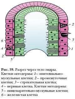 Логин и пароль от кракен