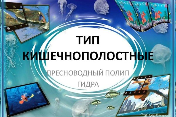 Кракен zerkalo pw
