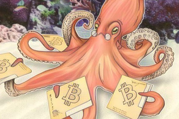 Kraken 12