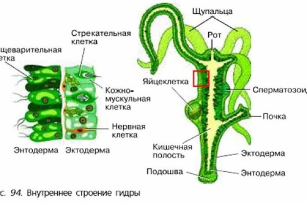 Kra40.cc