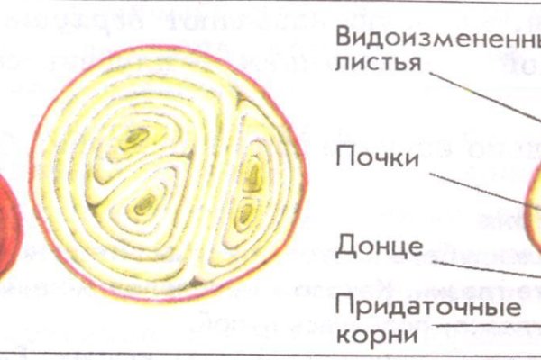 Кракен супернет только через тор