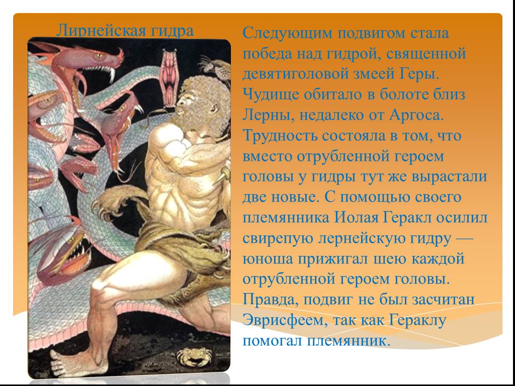 Магазин наркоты